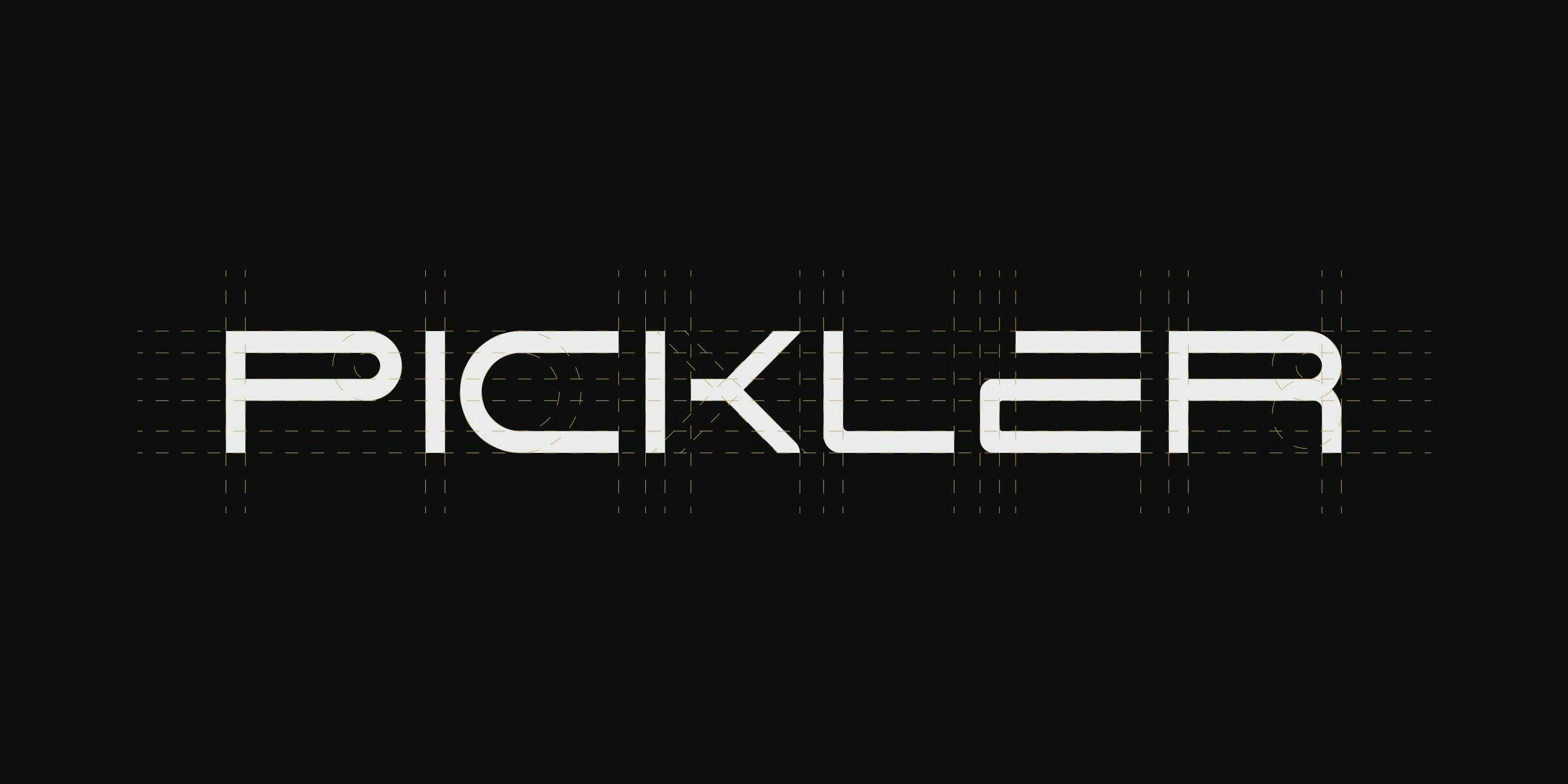 Imagem do projeto Pickler Conexões